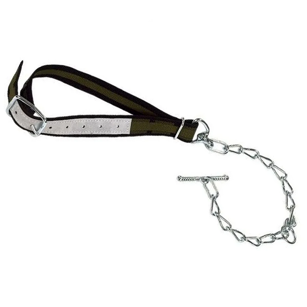 Collare 85 x 4cm con anello ovale