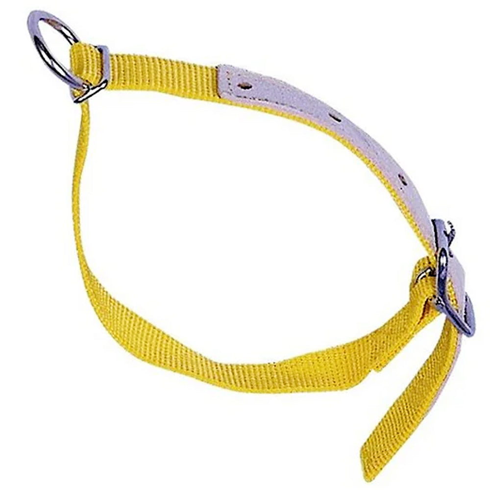 Collare in nylon per pecore