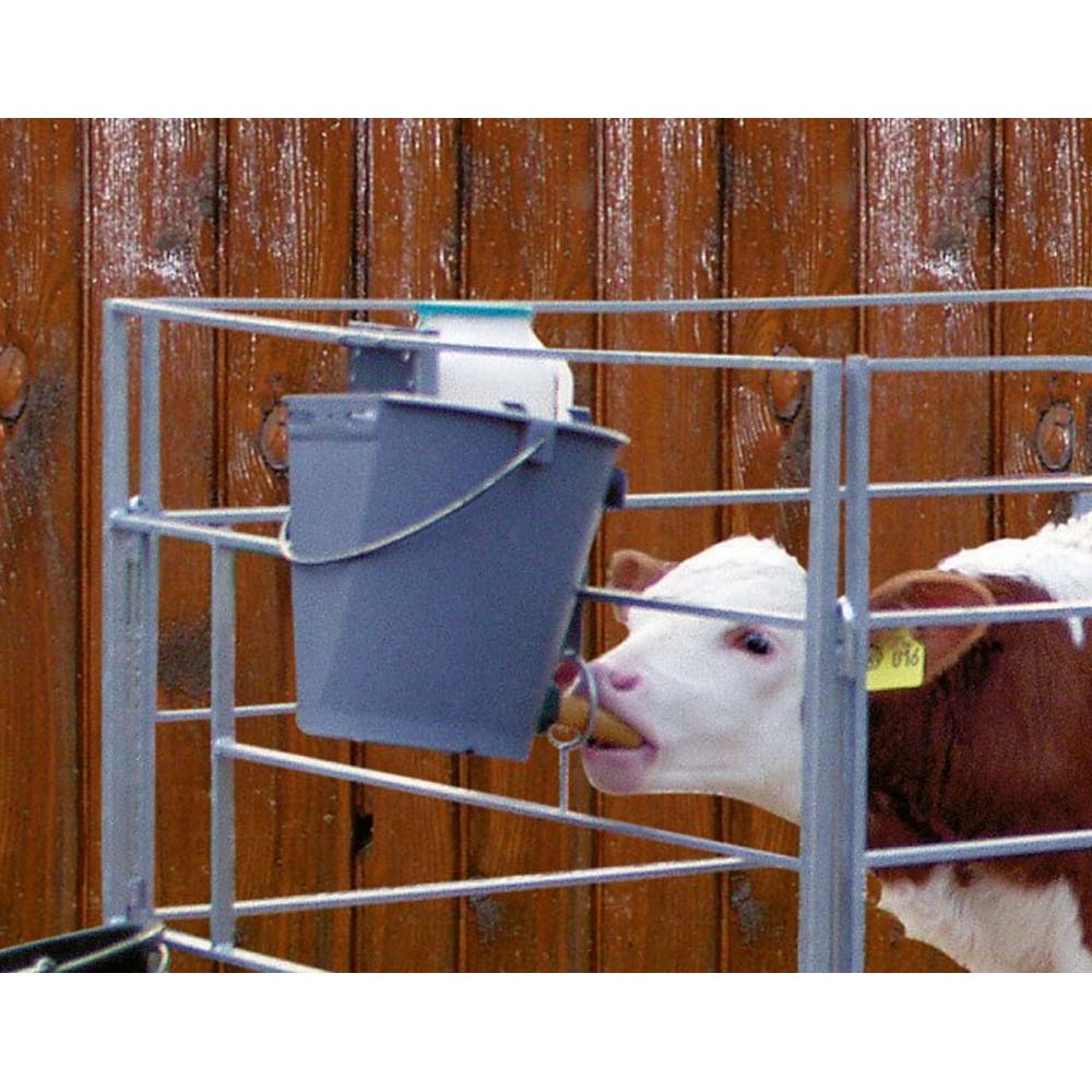 Secchio per vitelli in plastica