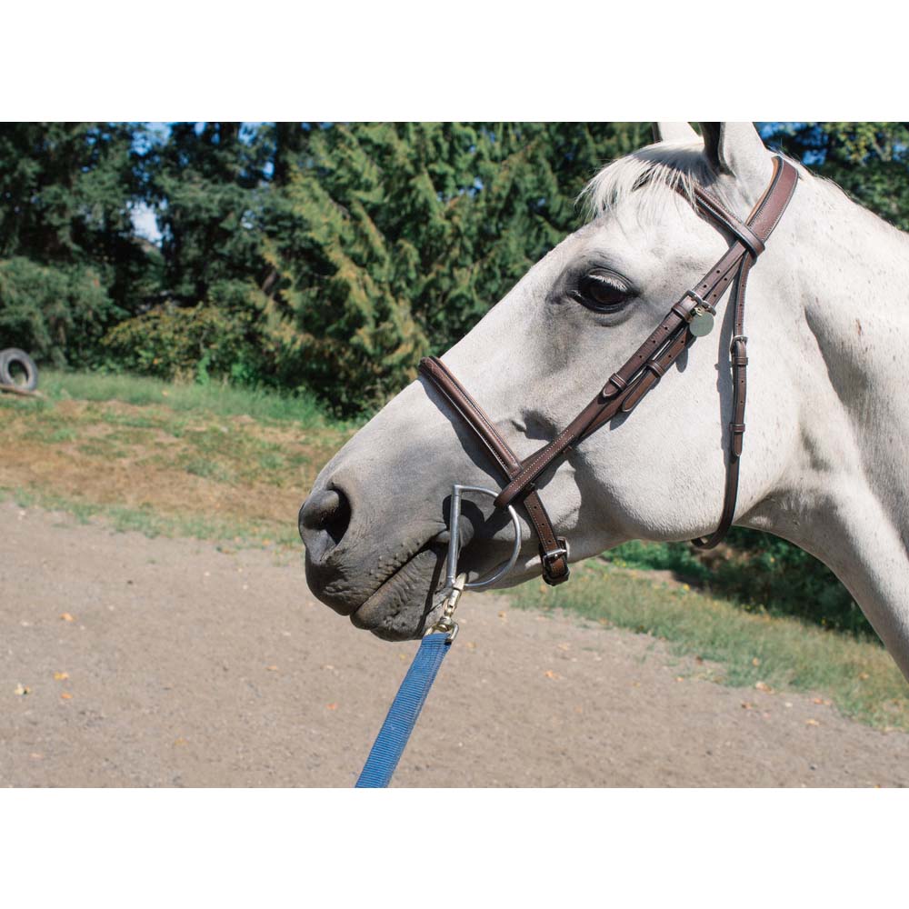 Longhina polipropilene con pregiato anello e moschettone