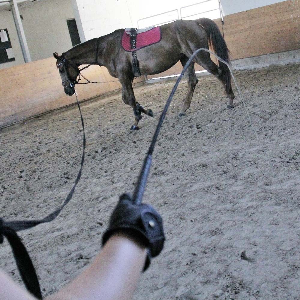 Frusta con cordino in nylon