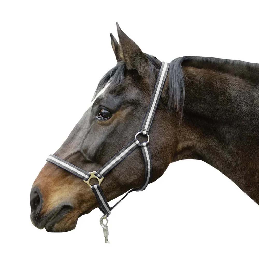 Cavezza in nylon hippo per equini