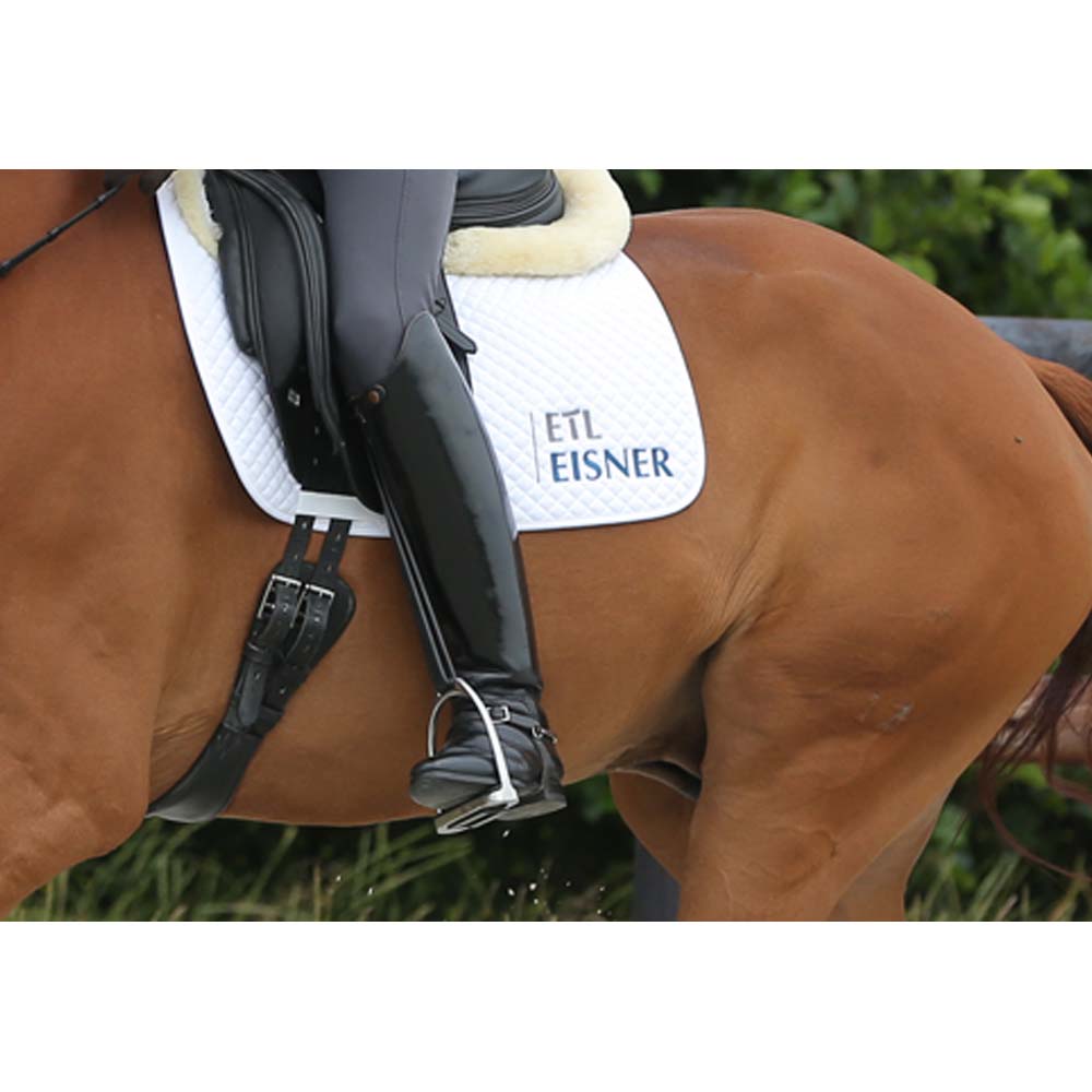 sottopancia equitazione