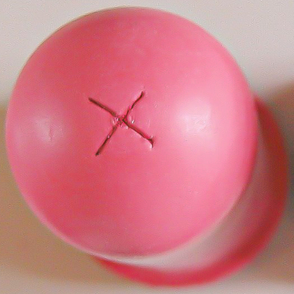 Tettarella per allattamento animali