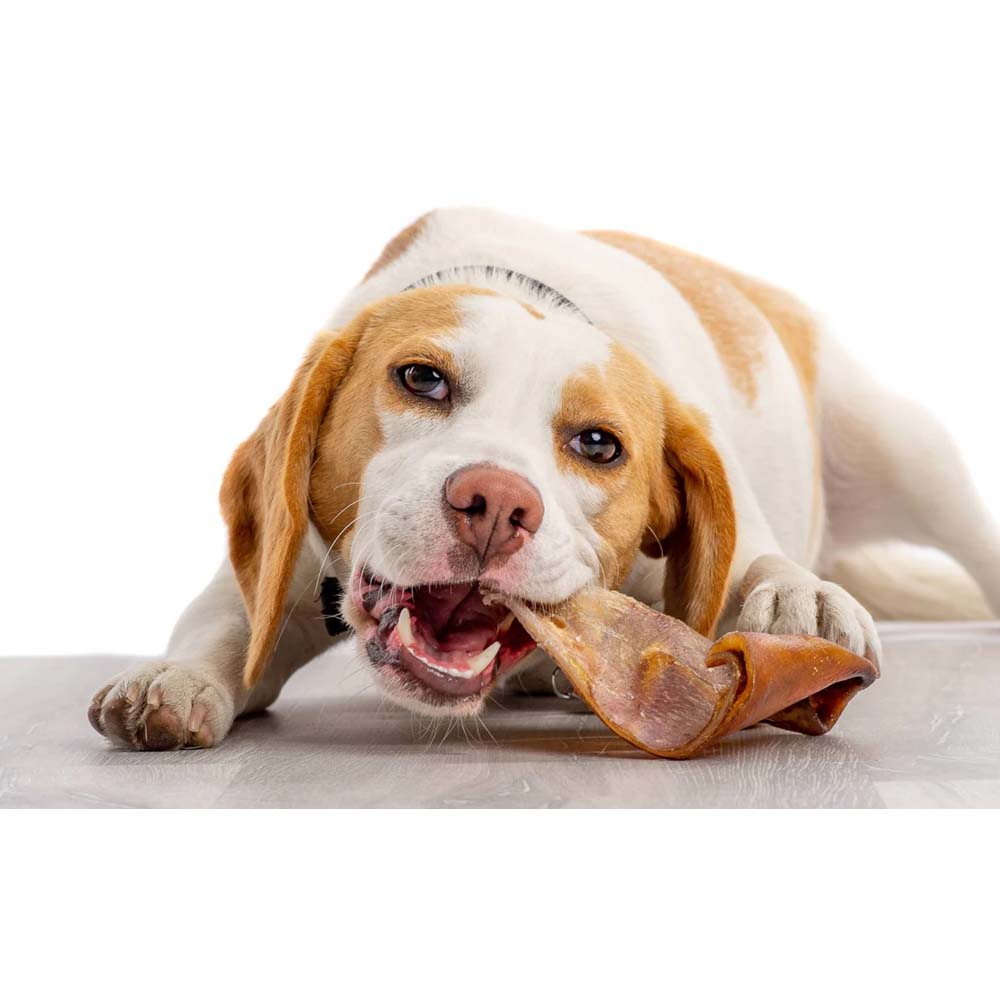 Orecchie di Maiale Naturali da Masticare per Cani