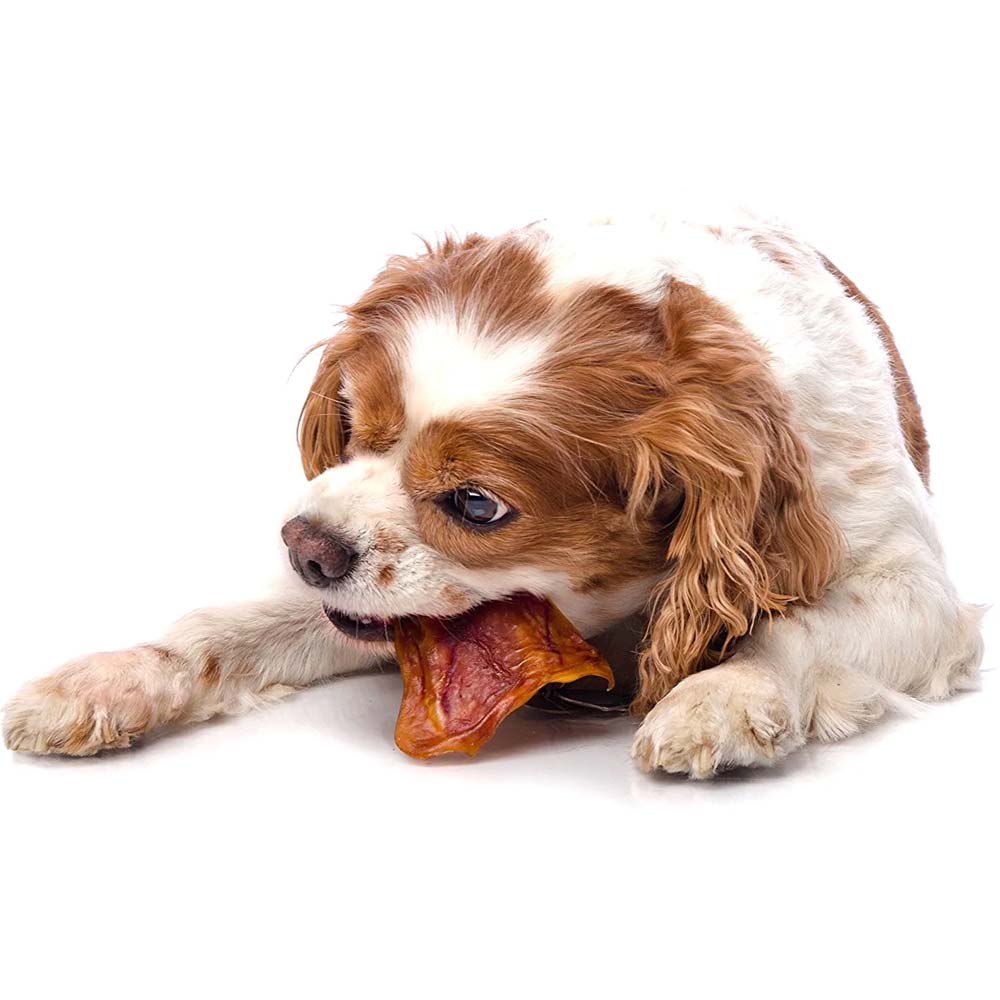 Orecchie di Maiale Naturali da Masticare per Cani