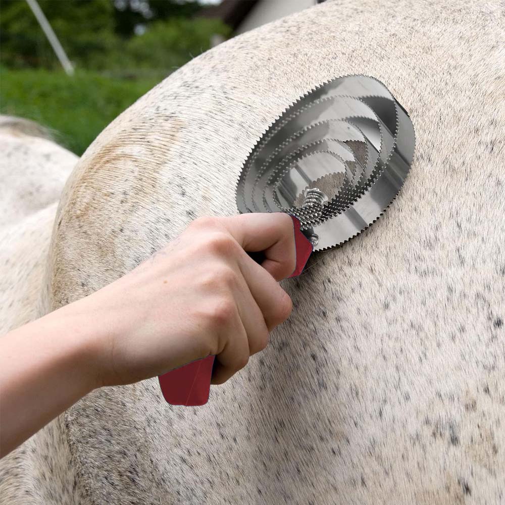 Pettine a spirale per cavalli