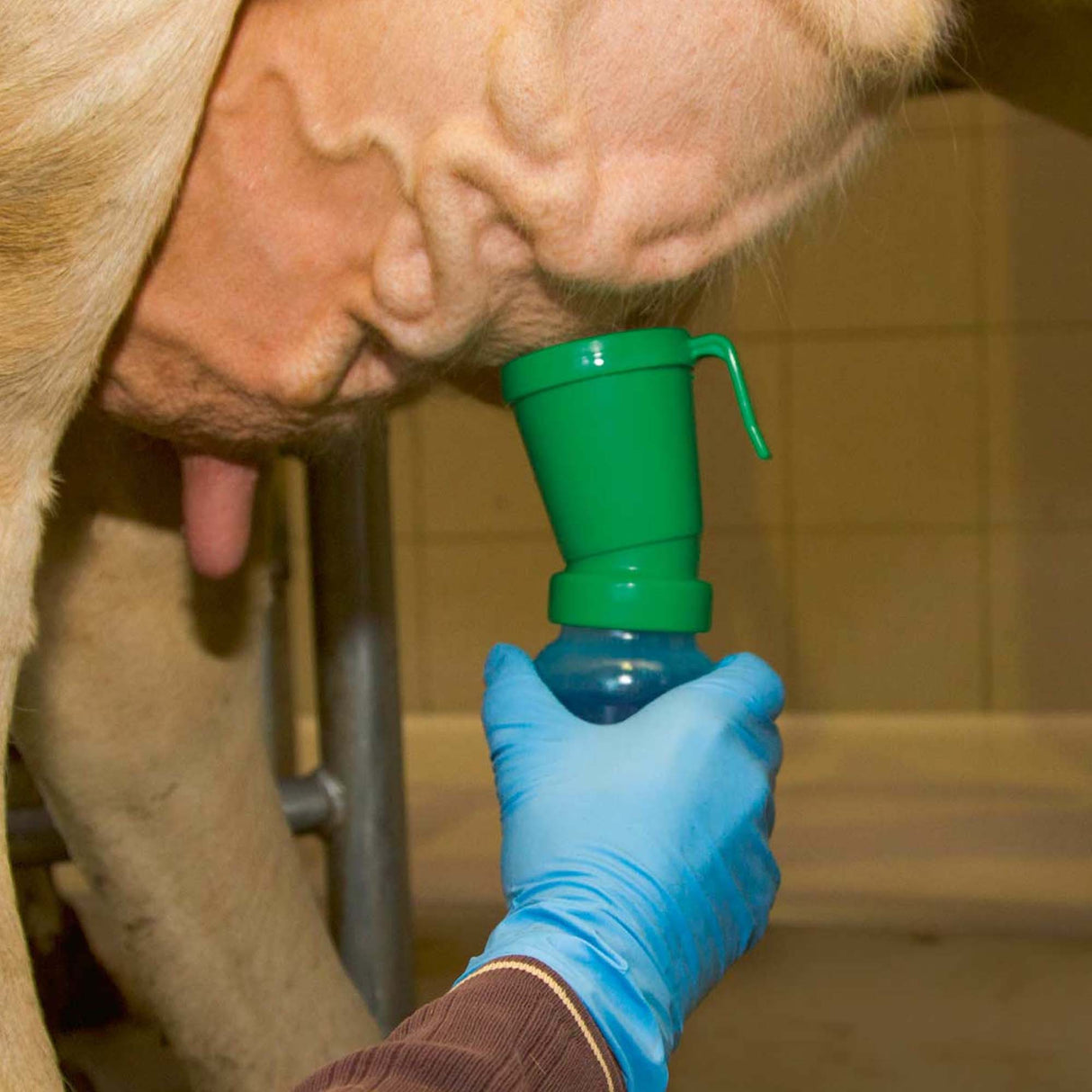 Coppa di immersione standard per il bagno del capezzolo