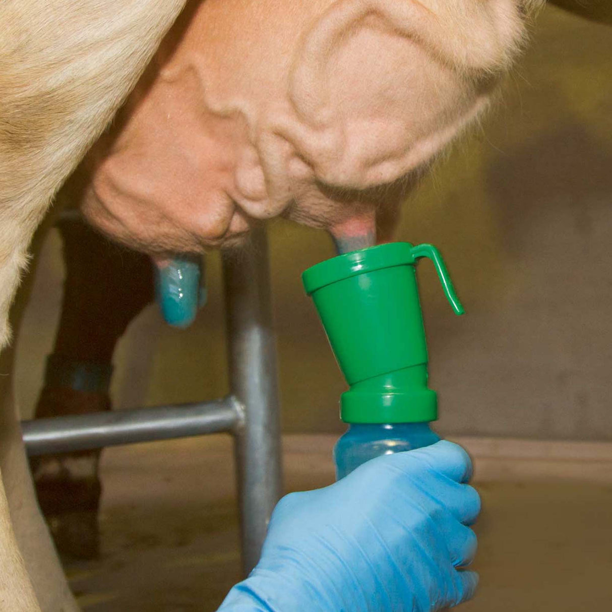 Coppa di immersione standard per il bagno del capezzolo