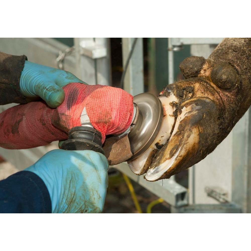 Disco Abrasivo Super Hoof 115 mm per Zoccoli e Corna