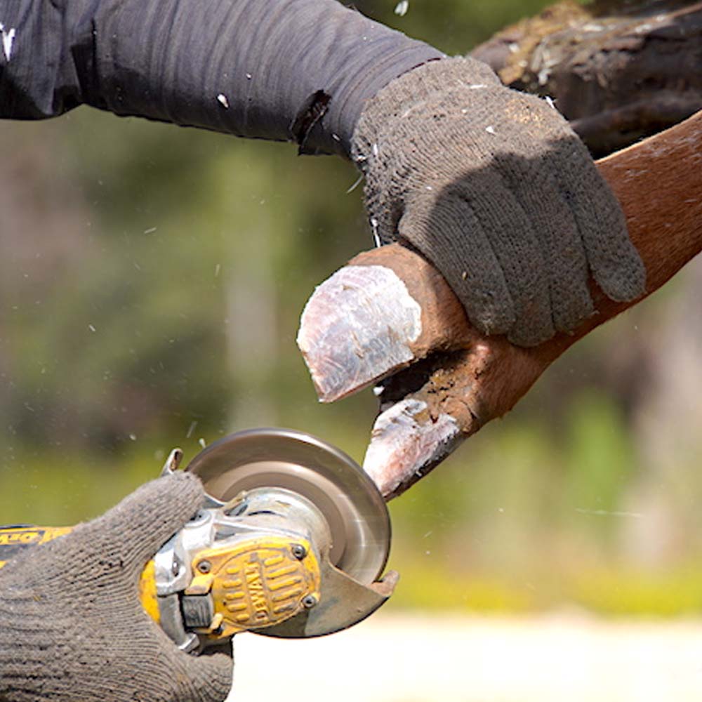 Disco Abrasivo Super Hoof 115 mm per Zoccoli e Corna