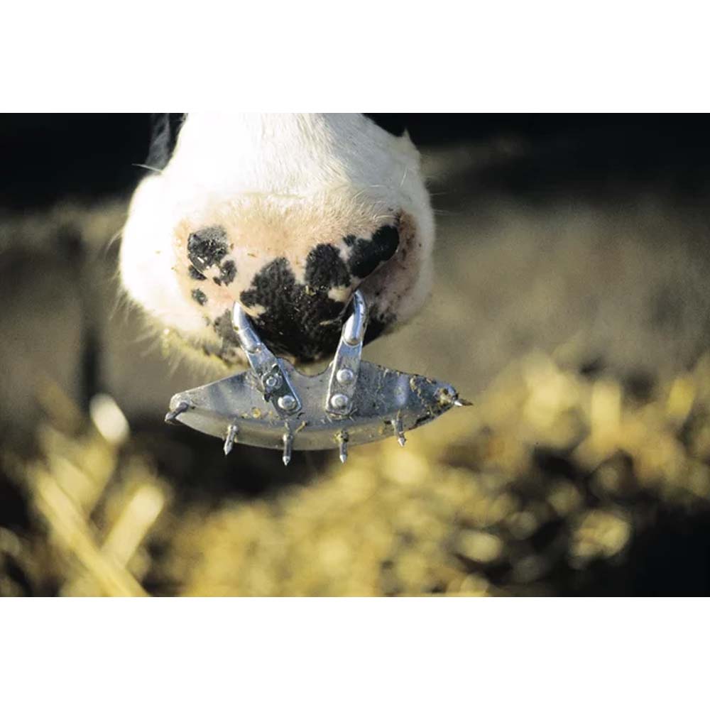 Antisucchio bovini krause in metallo leggero regolabile