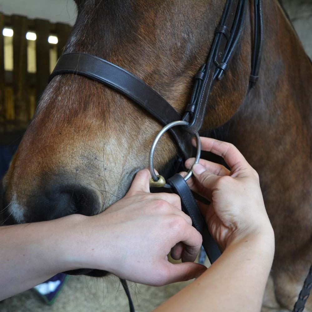 Filetto a doppio snodo in acciaio inox