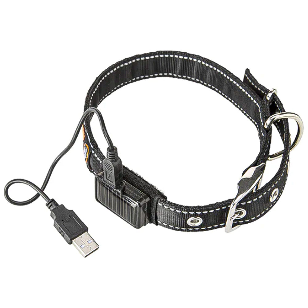 SOLAR NIGHT C - Collare riflettente e lampeggiante con ricarica solare/USB per cani