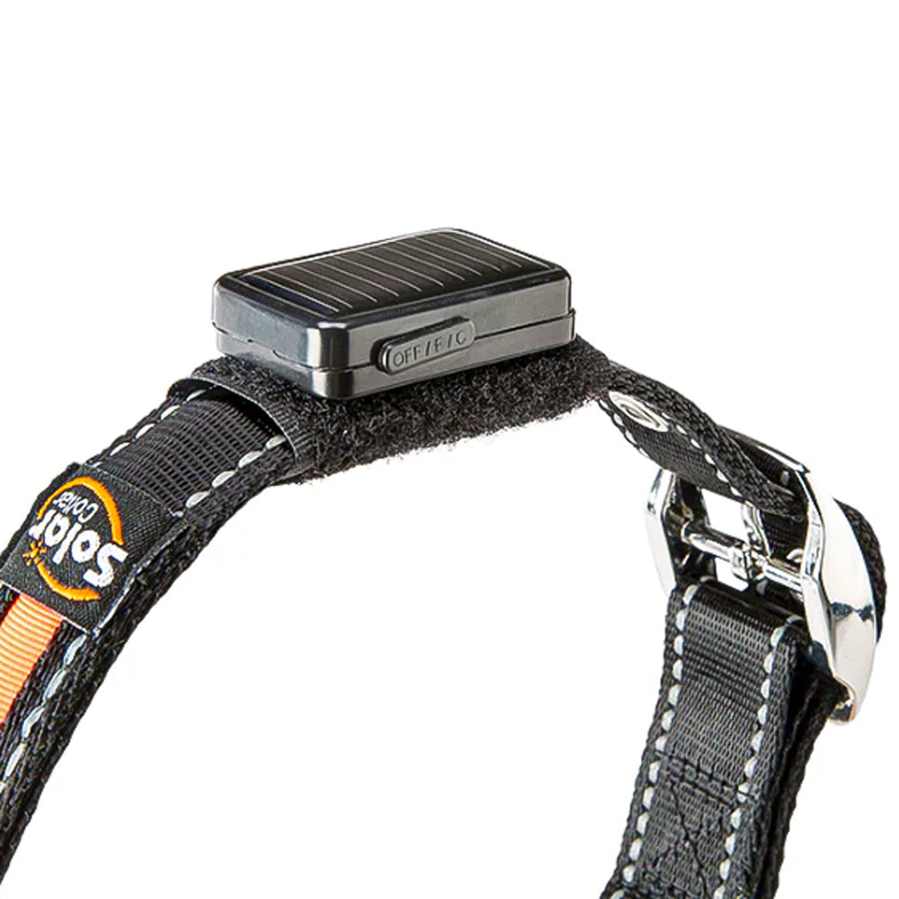 SOLAR NIGHT C - Collare riflettente e lampeggiante con ricarica solare/USB per cani