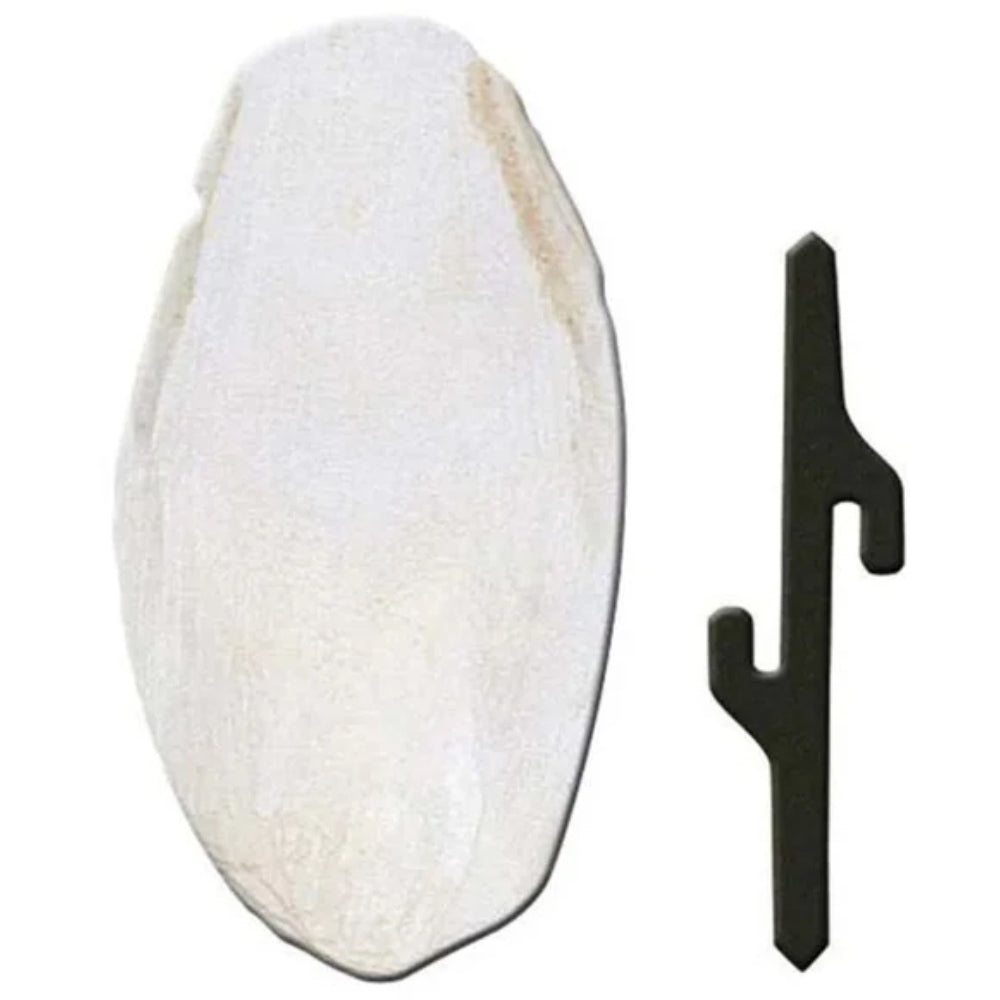 Osso di seppia PA 4330 Osso di seppia