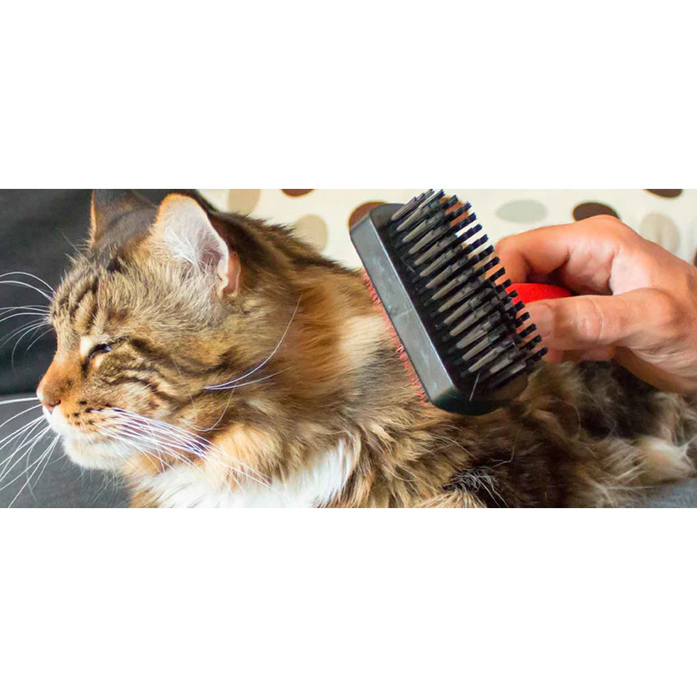 Cardatore con spazzola per cani e gatti dal pelo medio e lungo