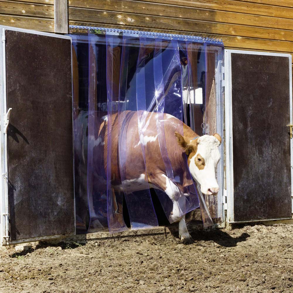 Tenda PVC trasparente