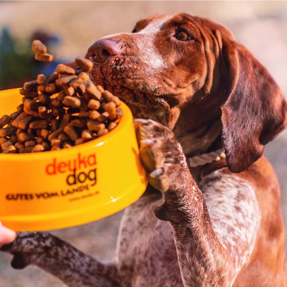 Deuka Welpenkost | cibo secco per cuccioli
