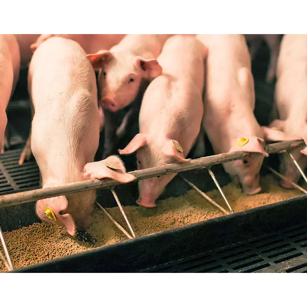 Mangime per suinetti da latte Prestarter primo svezzamento 25KG