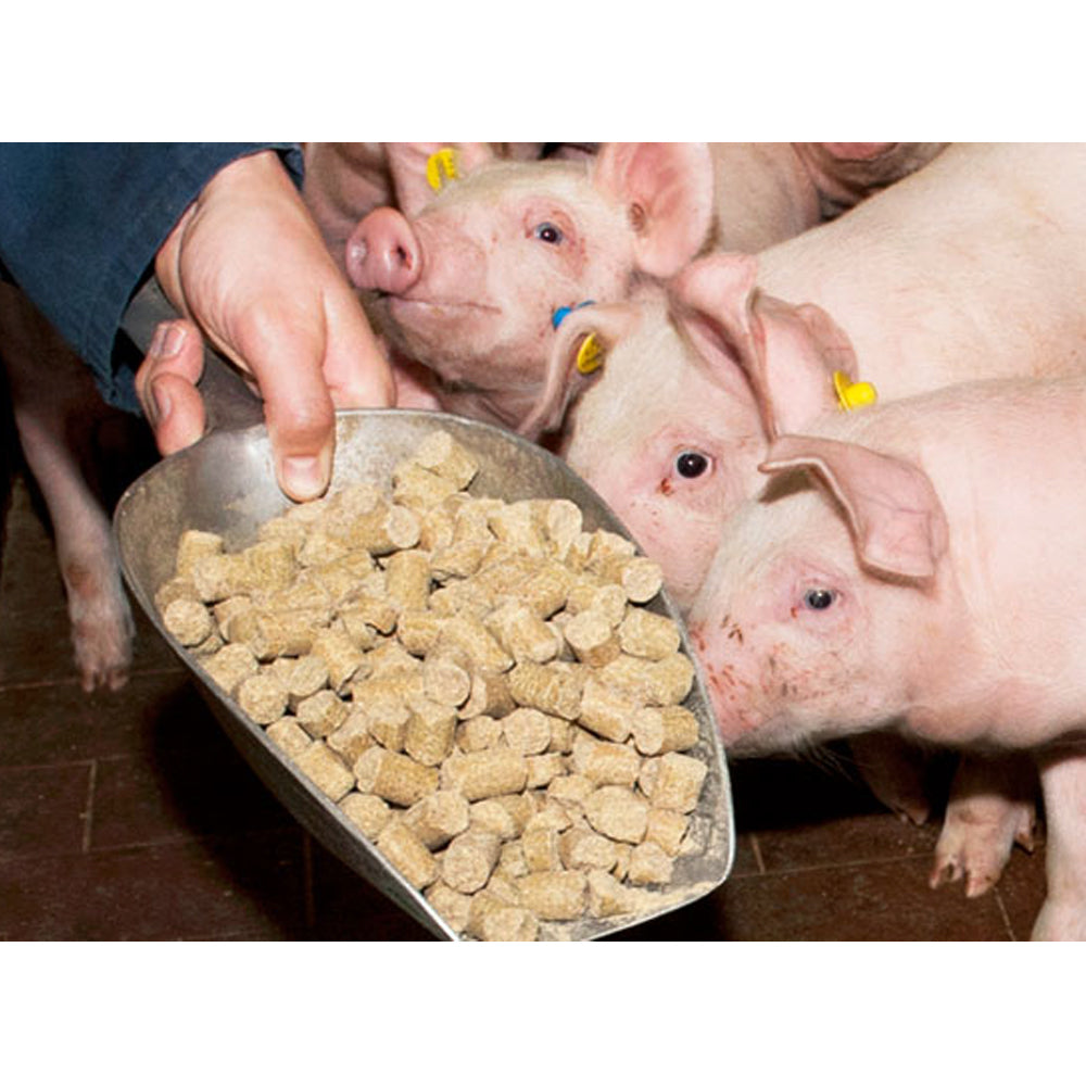 Mangime per suinetti da latte Prestarter primo svezzamento 25KG