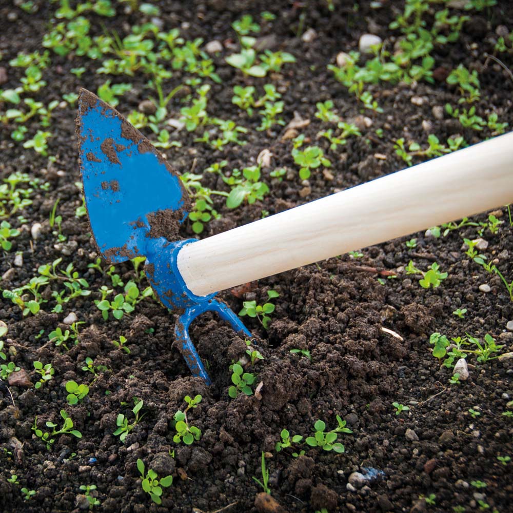 Krenhof Zappetta Punta Triangolare e bidente 0,25 kg