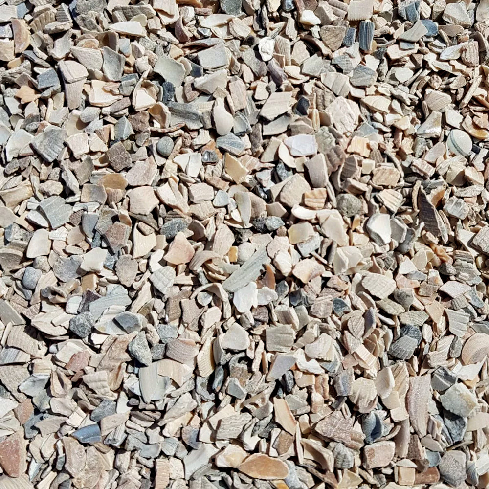 Beikircher Conchiglia Tritata Integratore di Calcio per Pollame