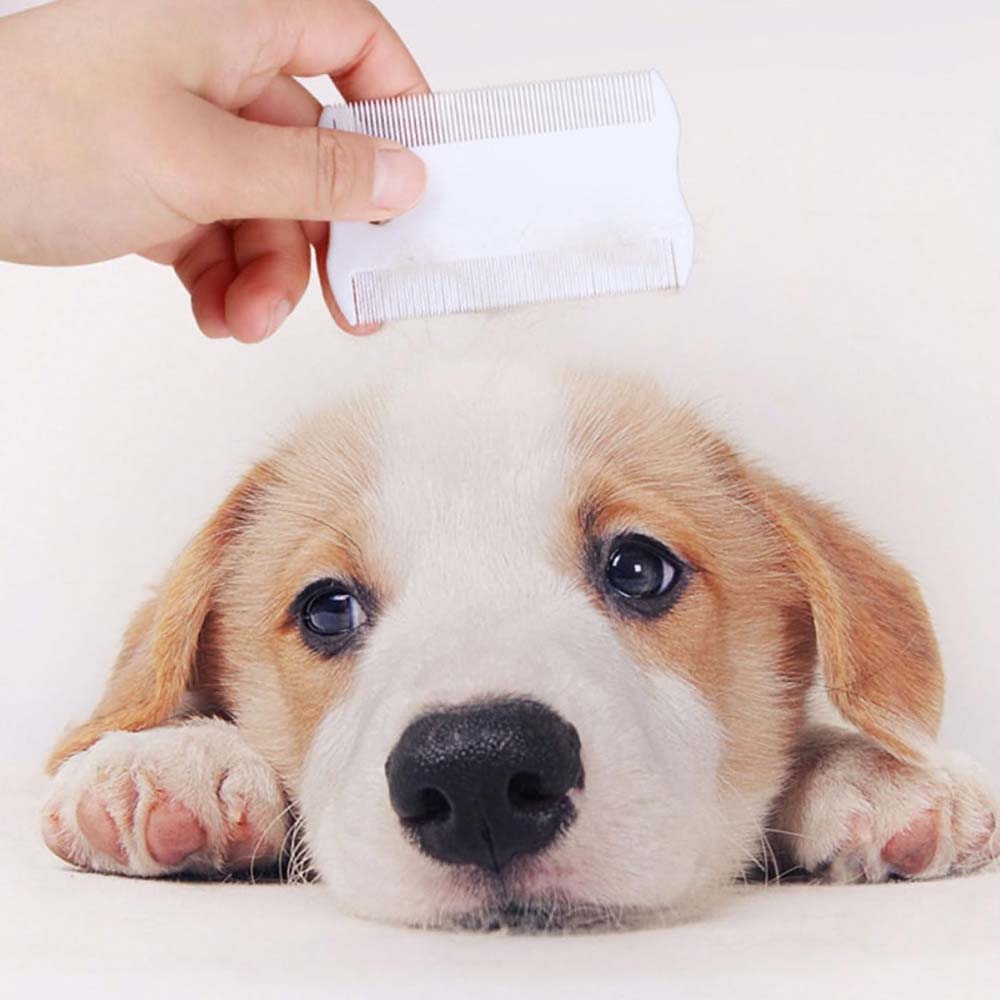 GRO 5836 Pettine doppio antipulci per cani e gatti