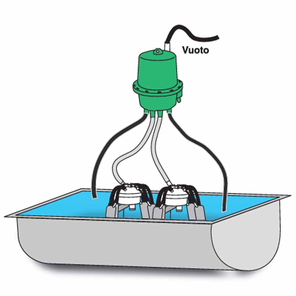 Lavatrice per Guaina di Mungitura Verde