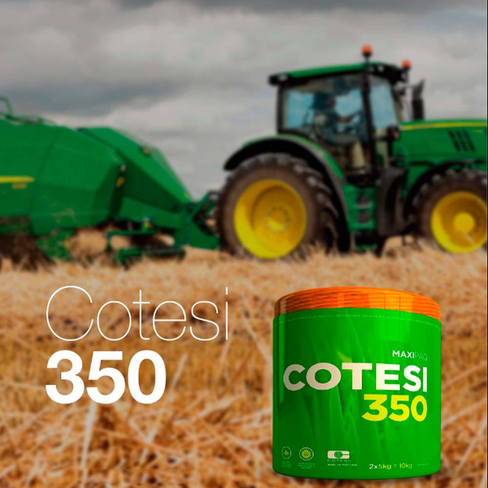 COTESI Spago polipropilenico flessibile (2 rotoli)