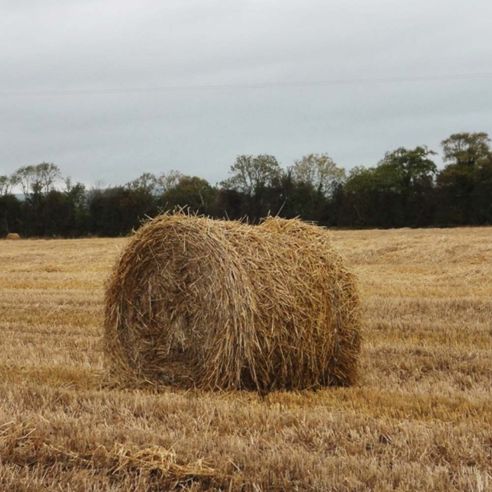 COTESI Spago polipropilenico flessibile (2 rotoli)