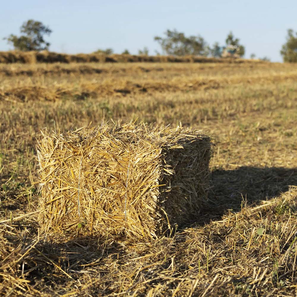 COTESI Spago polipropilenico flessibile (2 rotoli)