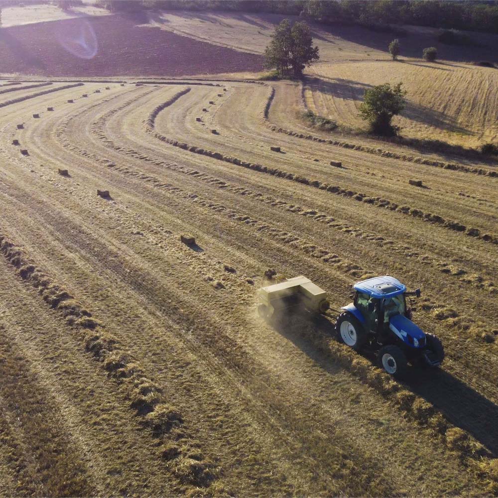 COTESI Spago polipropilenico flessibile (2 rotoli)