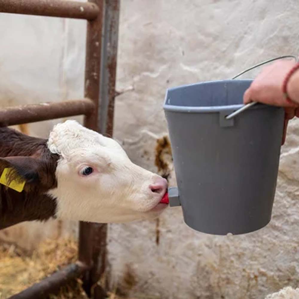 Accessori per l'allevamento dei vitelli Valvola