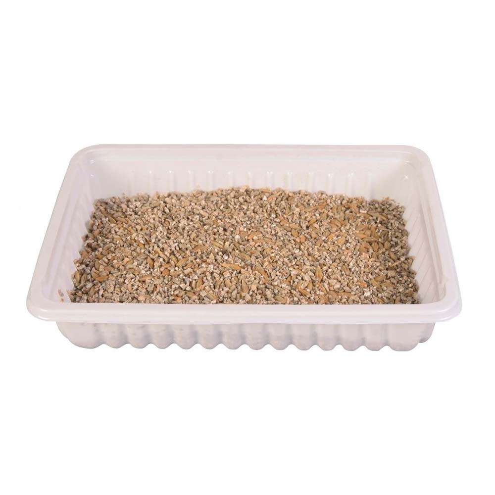 Erba Gatta - Integratore Alimentare per Gatti Domestici