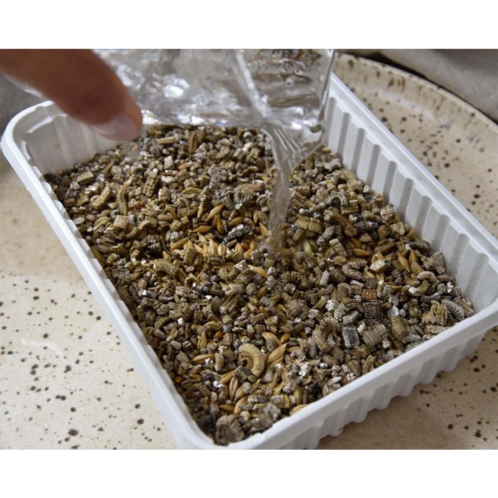 Erba Gatta - Integratore Alimentare per Gatti Domestici