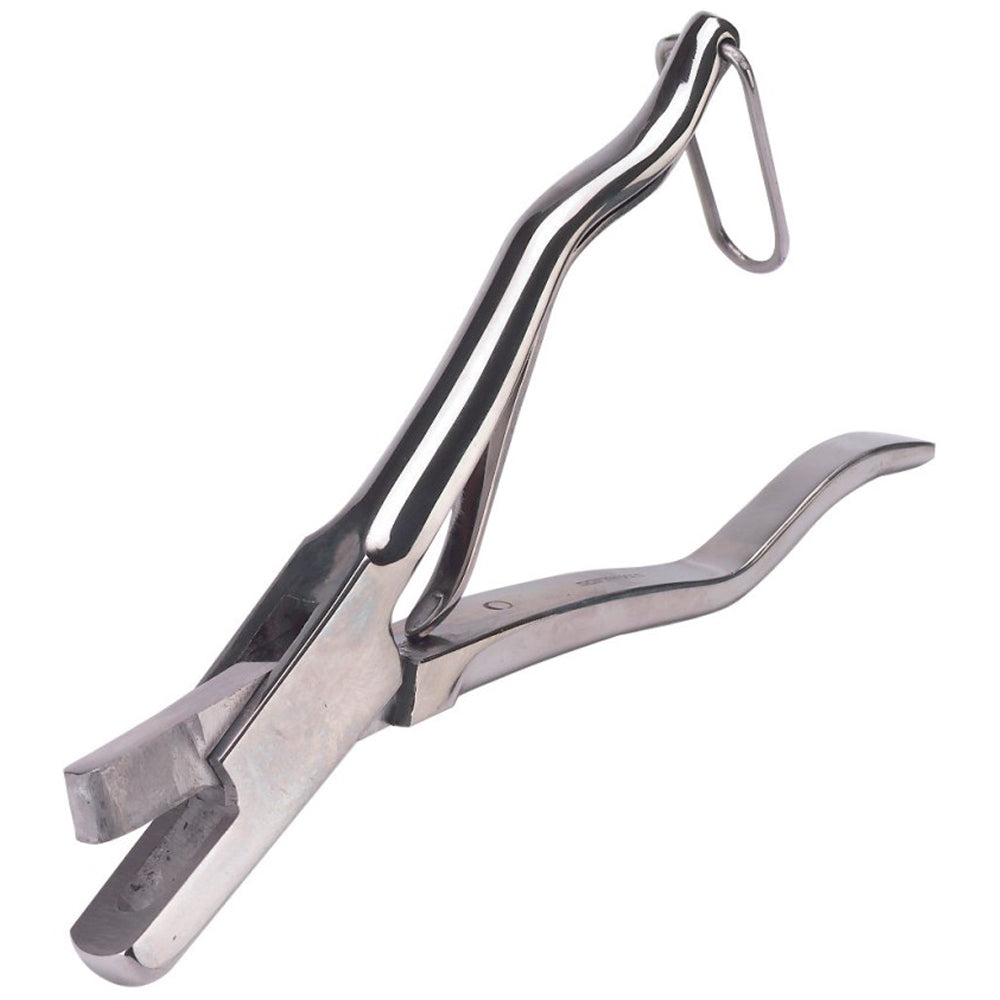 Pinza dentellata per orecchie