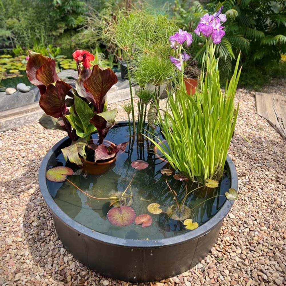 Abbeveratoio Per Pascolo Rotondo