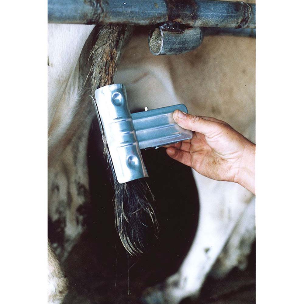 Fermacoda a molla zincata per bovini