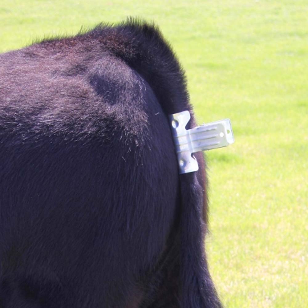 Fermacoda a molla zincata per bovini