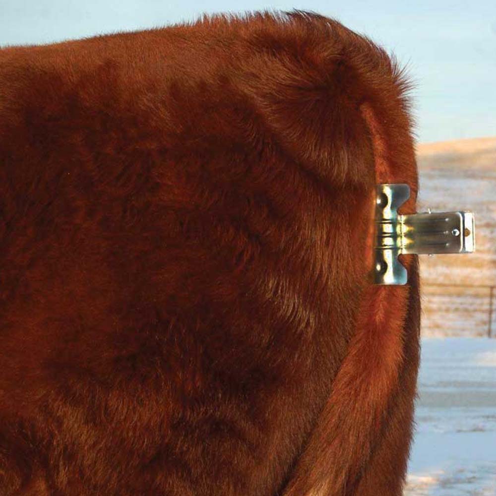 Fermacoda a molla zincata per bovini