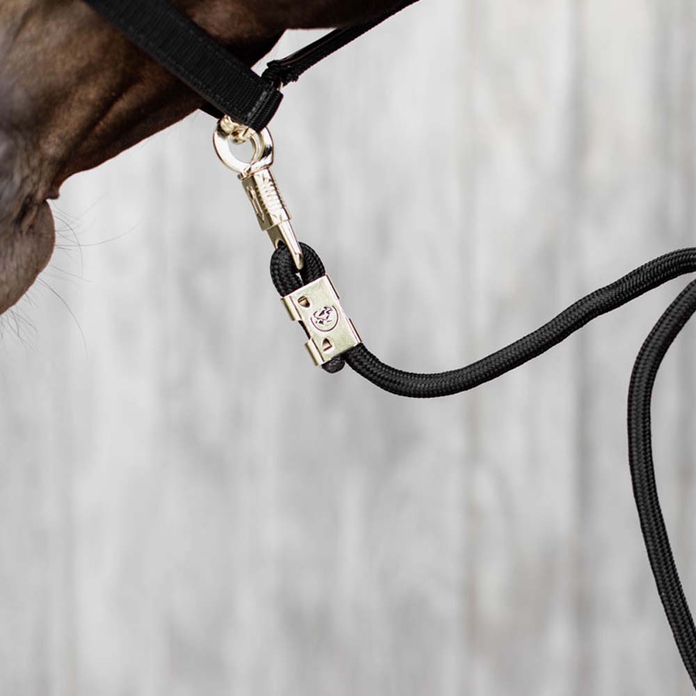 Moschettone Zincato Antipanico con Cameretta Fissa per Cavezza