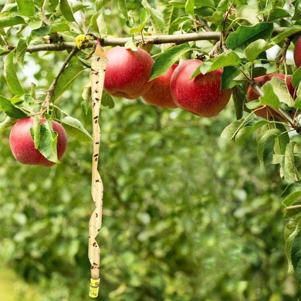 Carta moschicida VAPE