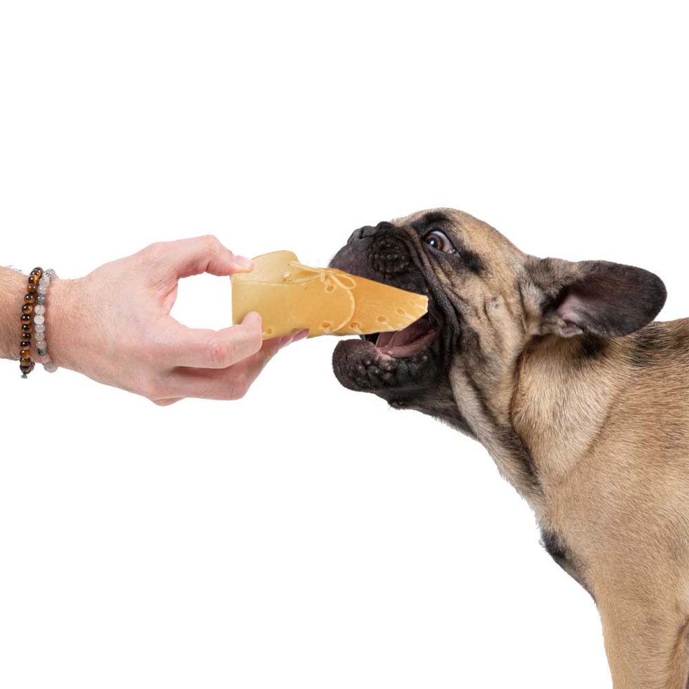 Scarpe da Masticare per Cani in Pelle di Manzo