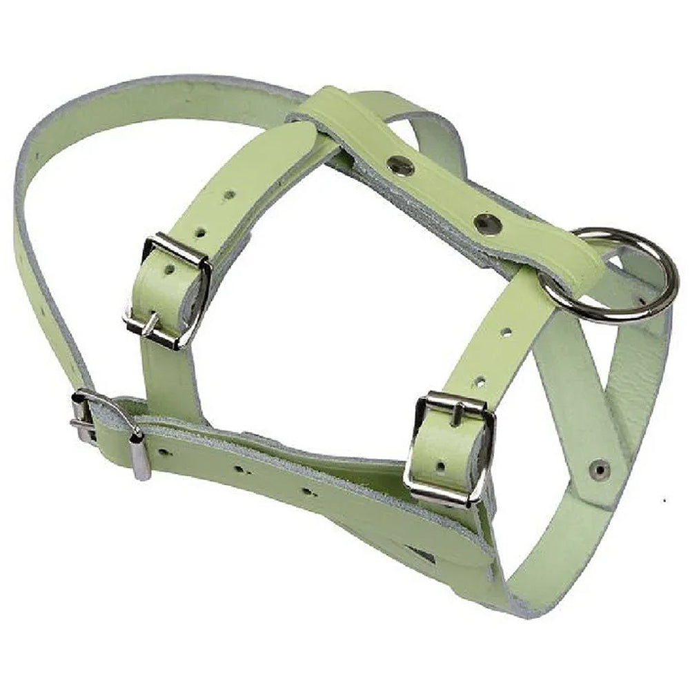 Cavezza in nylon per pecore e montoni