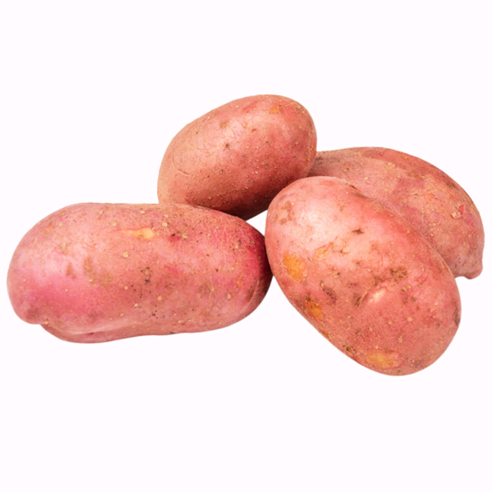 Saatkartoffel Desiree - Patate da seme di alta qualità per una crescita ottimale