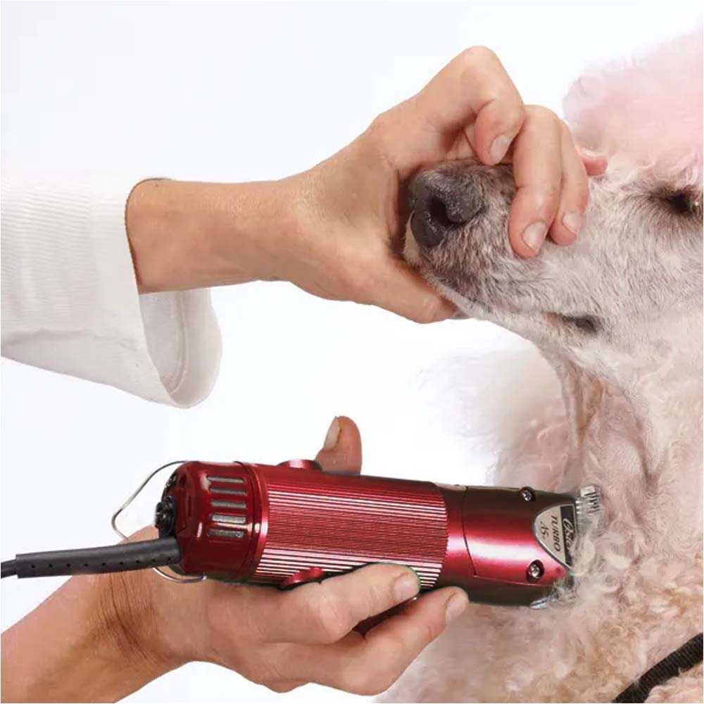 Macchina per la Toelettatura OSTER GOLDEN A5