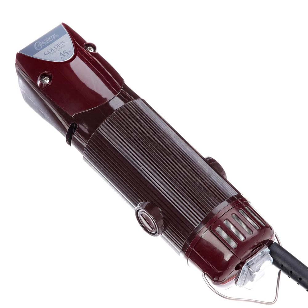 toelettatura professionale