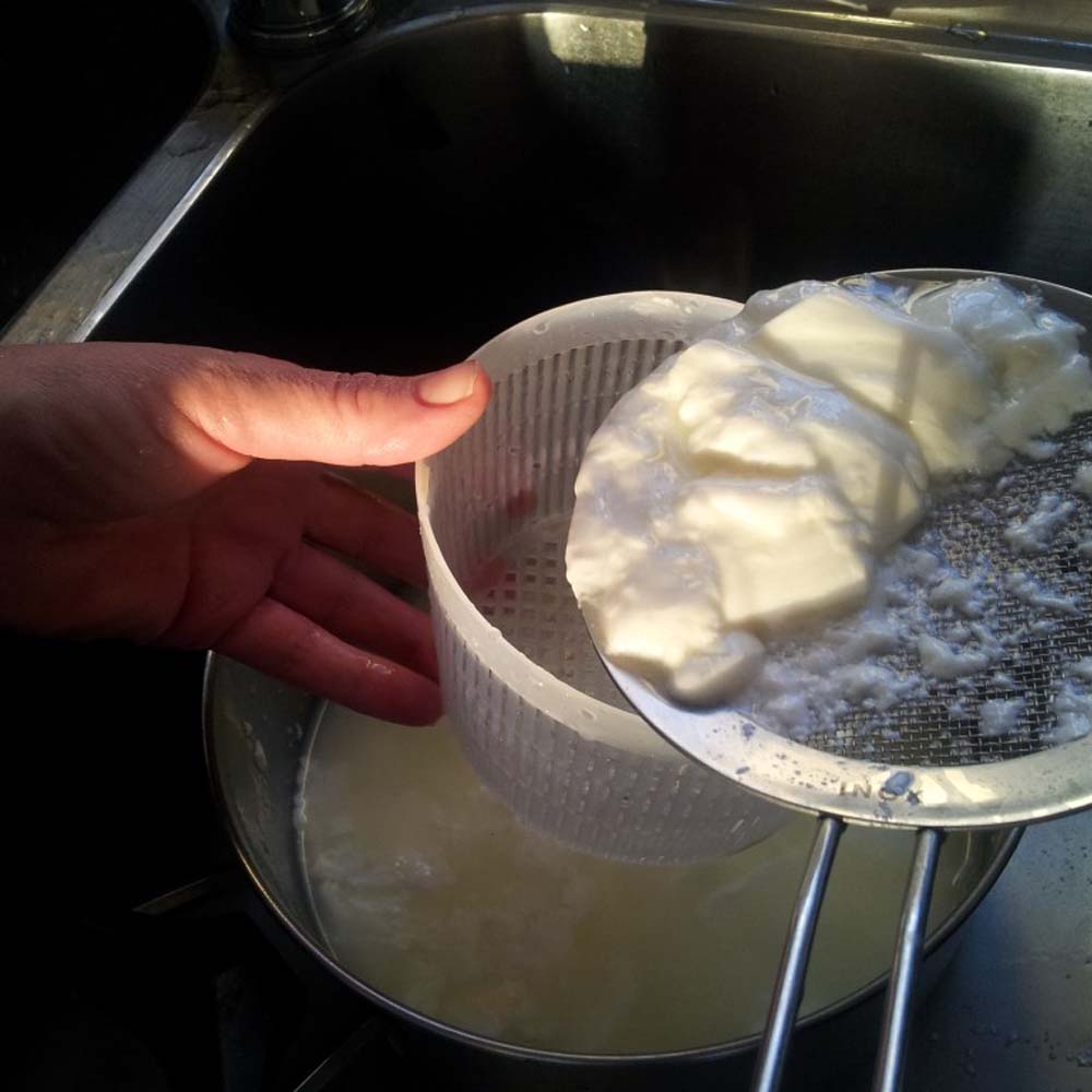 Stampo per formaggio con base arrotondata