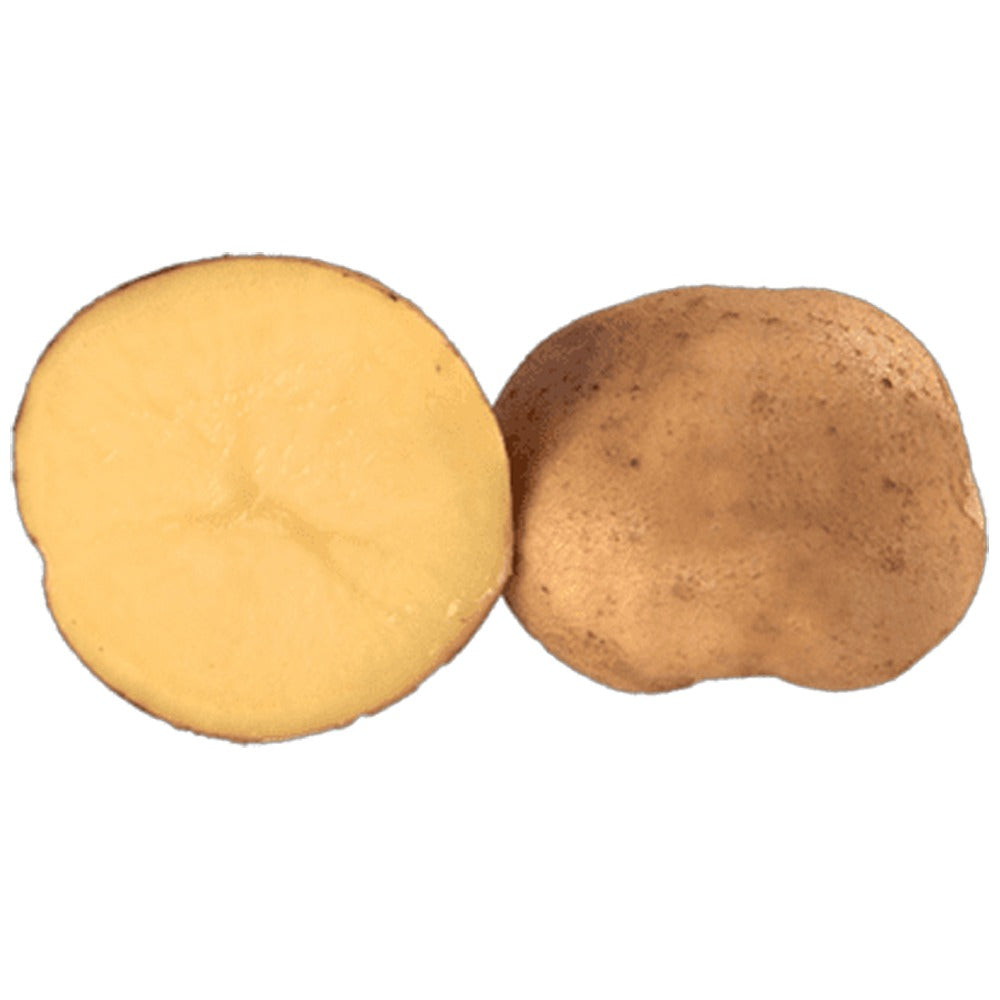 Saatkartoffel Bettina Gelbfleischige Pflanzkartoffeln – 25kg